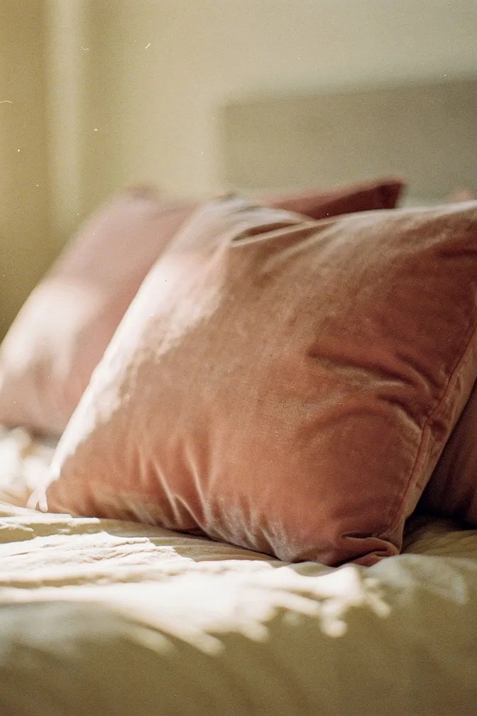 Blush pink velvet pillows on a cream bedspread, warm morning light streaming through window, cozy bedroom interior