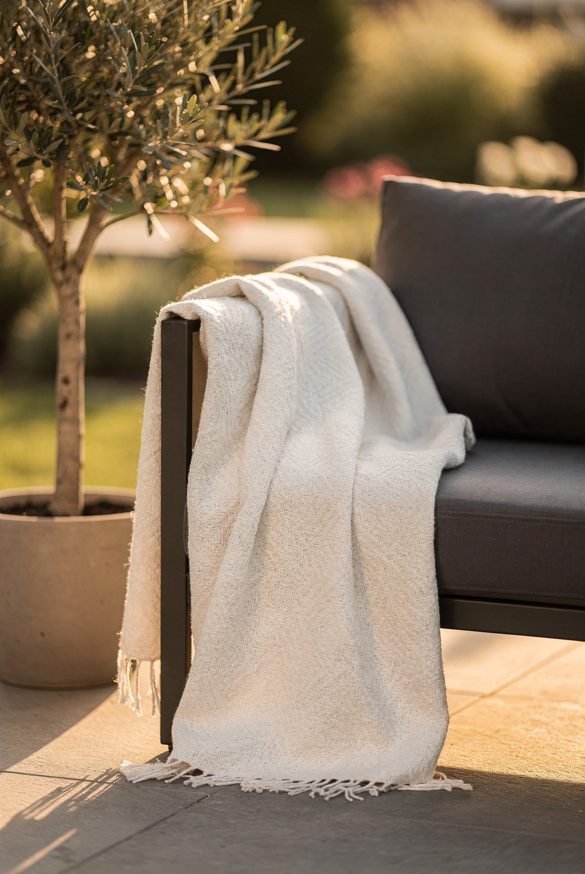 A cream textured outdoor throw blanket casually draped over a dark grey outdoor sofa arm, potted olive tree nearby, warm golden hour light, cozy outdoor evening setting